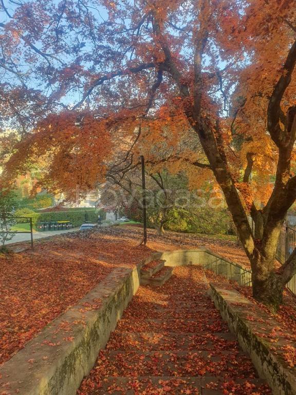appartamento in affitto a Torino in zona Gran Madre