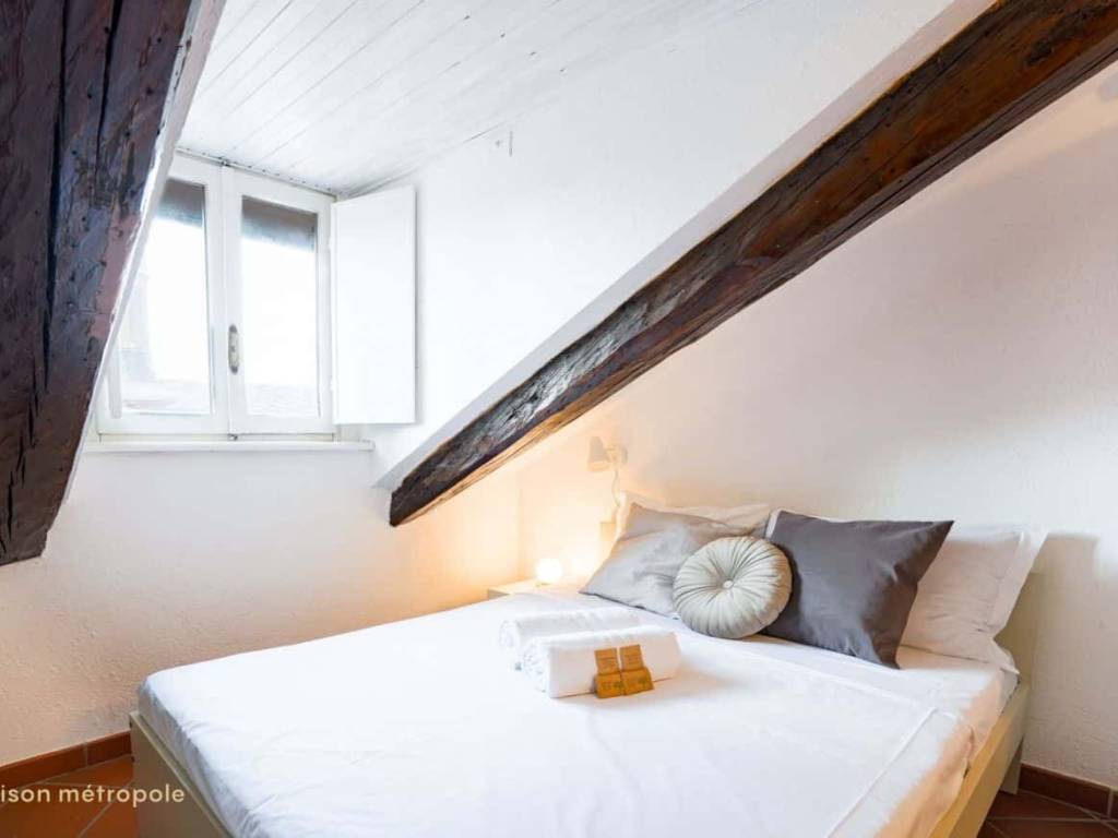 appartamento in affitto a Torino in zona Crocetta