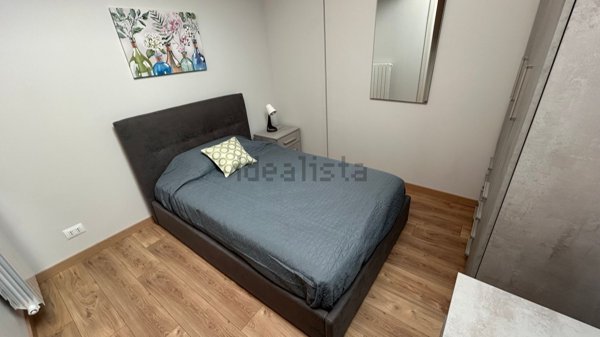 appartamento in affitto a Torino in zona Millefonti