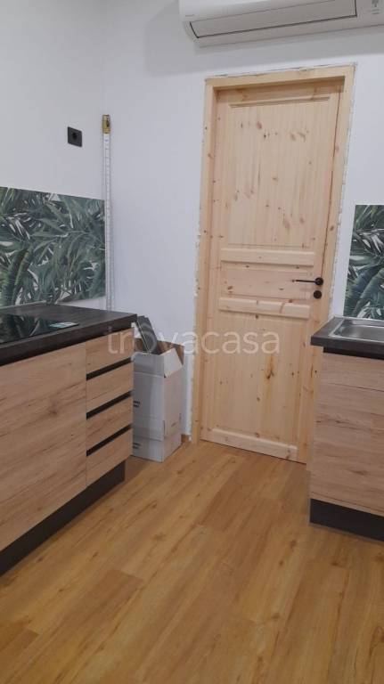 appartamento in affitto a Torino in zona Borgo San Paolo