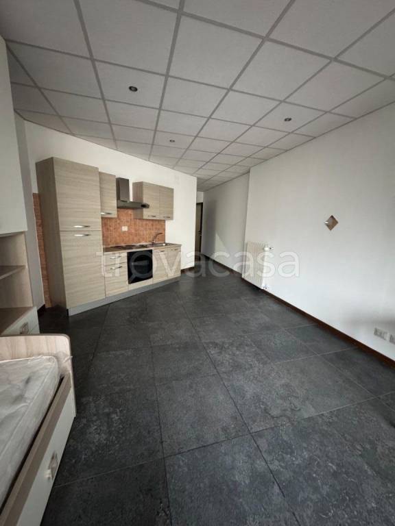 appartamento in affitto a Torino in zona Regio Parco