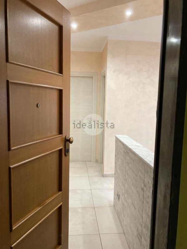 appartamento in affitto a Torino in zona Borgo San Paolo