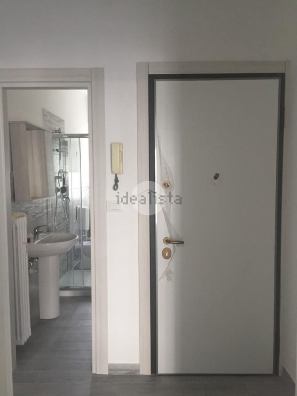 appartamento in affitto a Torino in zona Borgo San Paolo