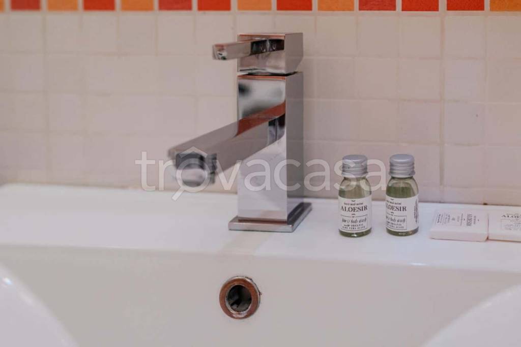 appartamento in affitto a Torino in zona San Salvario