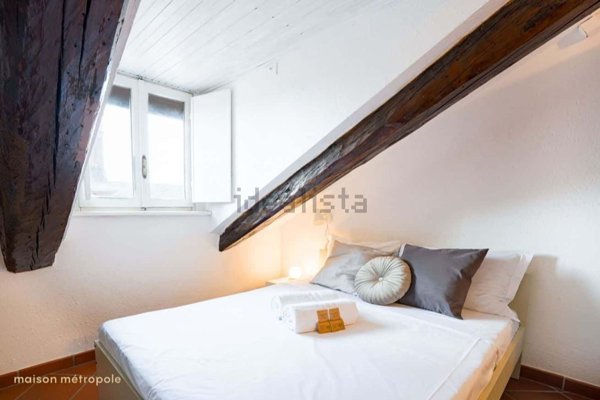 appartamento in affitto a Torino in zona Crocetta