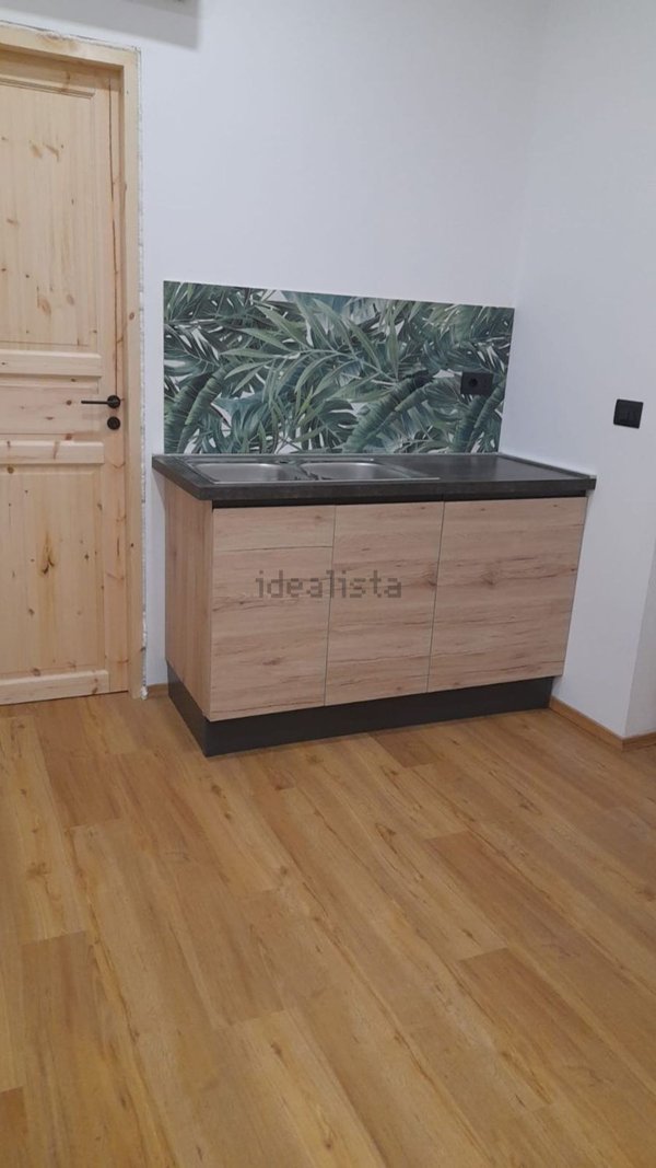 appartamento in affitto a Torino in zona Borgo San Paolo