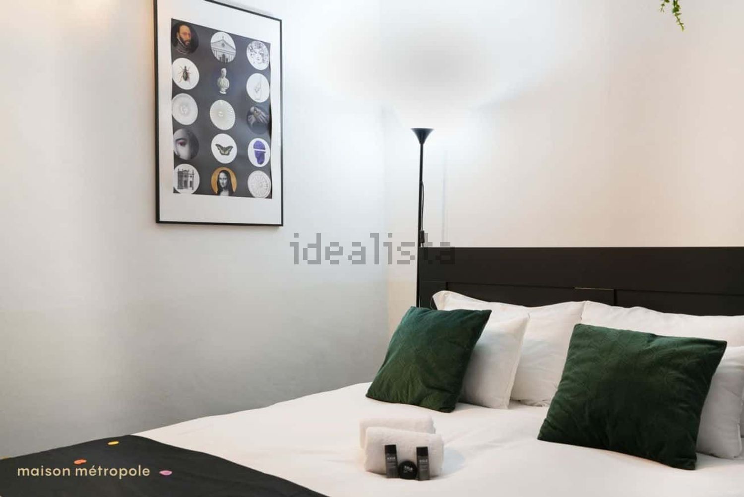 appartamento in affitto a Torino