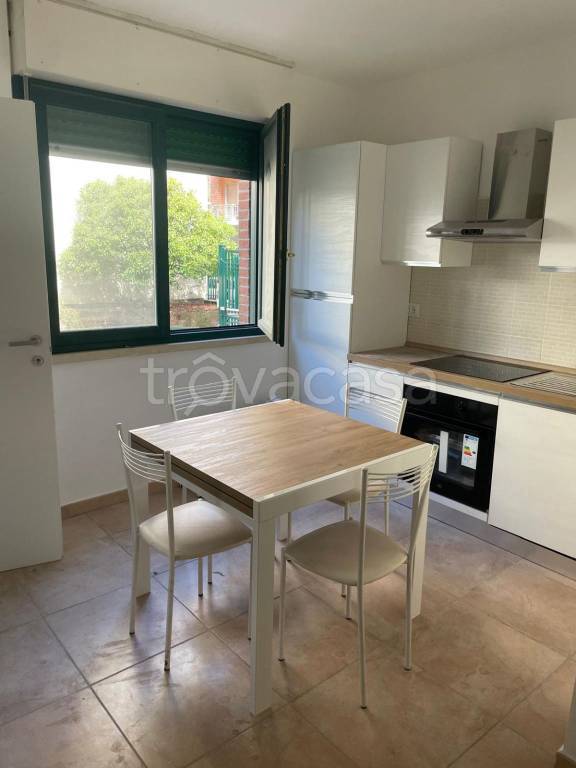 appartamento in affitto a Torino in zona Borgo San Paolo