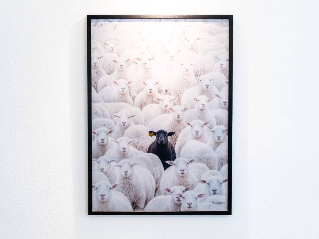 appartamento in affitto a Torino in zona San Donato