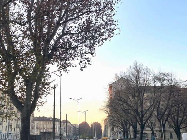negozio in affitto a Torino in zona Aurora