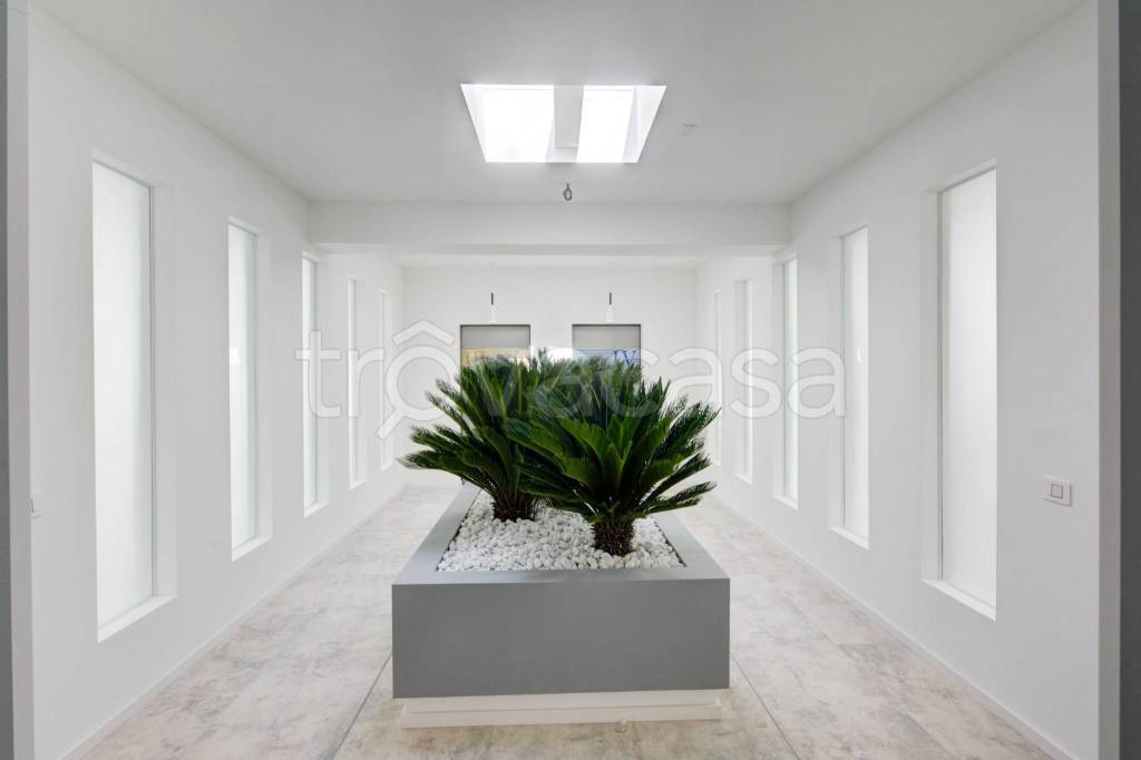 appartamento in affitto a Torino in zona Cit Turin