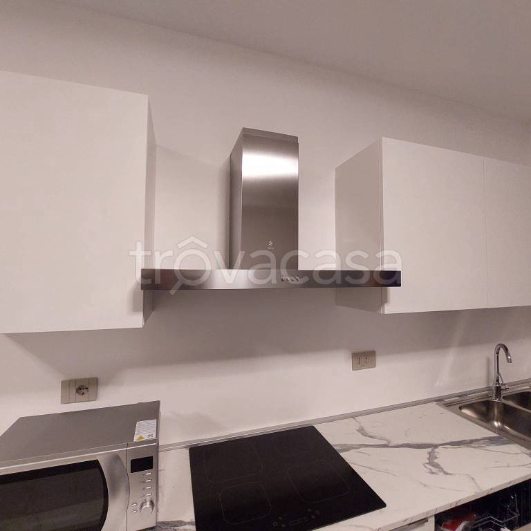 appartamento in affitto a Torino in zona Millefonti