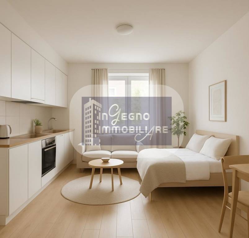 appartamento in affitto a Torino in zona Borgo San Paolo