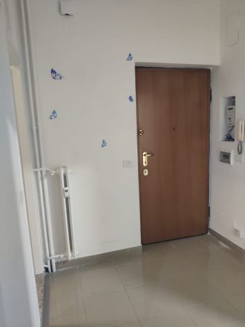 camera singola in affitto a Torino in zona Vanchiglia