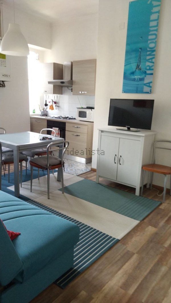 appartamento in affitto a Torino in zona Borgo San Paolo