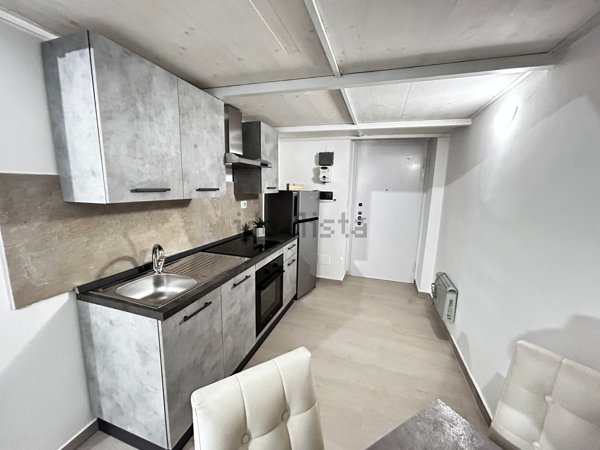 appartamento in affitto a Torino in zona Borgo San Paolo