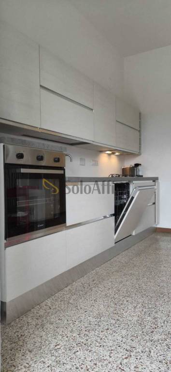 appartamento in affitto a Torino in zona Borgo San Paolo