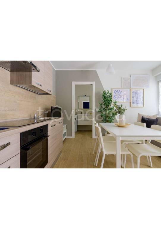 appartamento in affitto a Torino in zona Borgo San Paolo