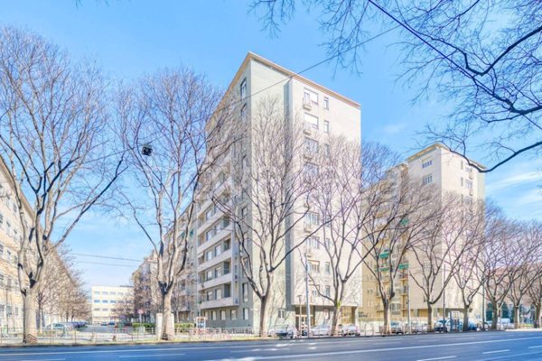 appartamento in affitto a Torino in zona Crocetta