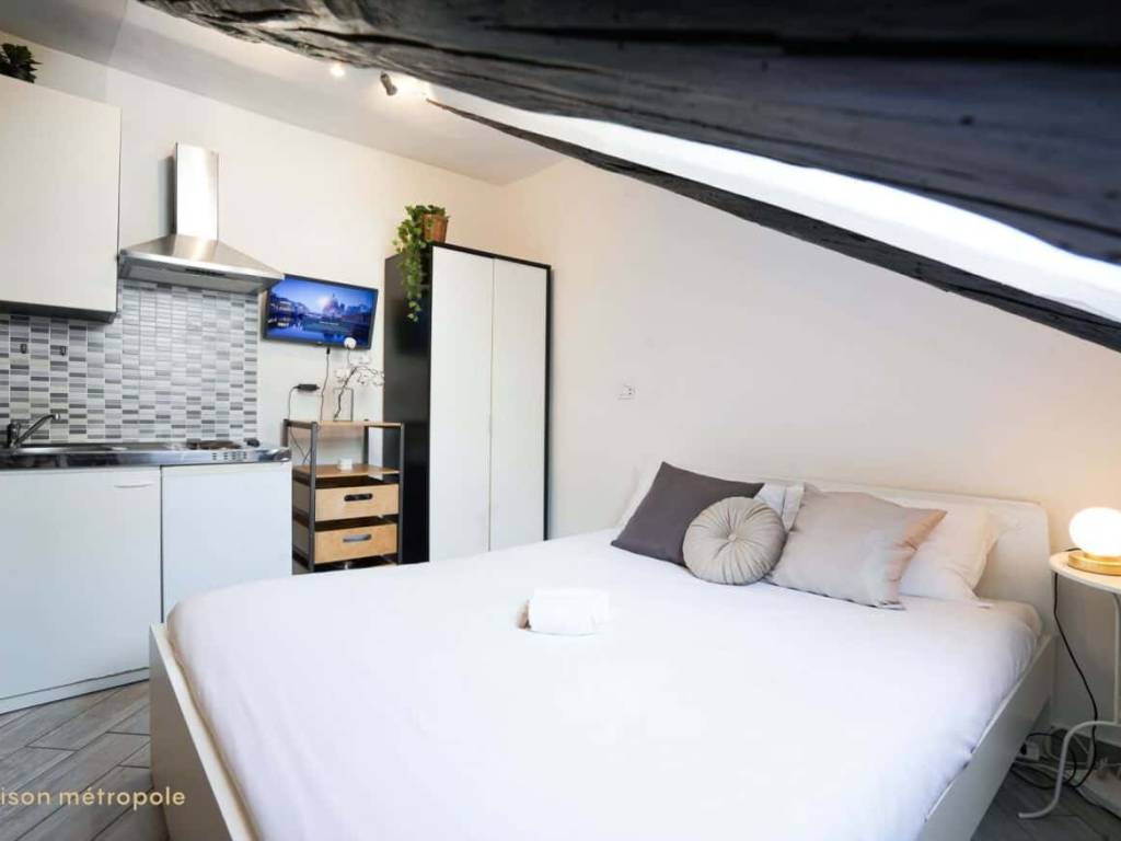 appartamento in affitto a Torino in zona San Salvario