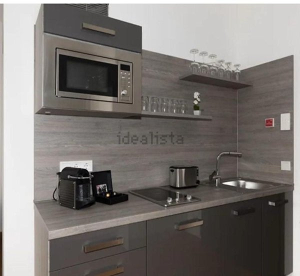 appartamento in affitto a Torino in zona Borgo San Paolo