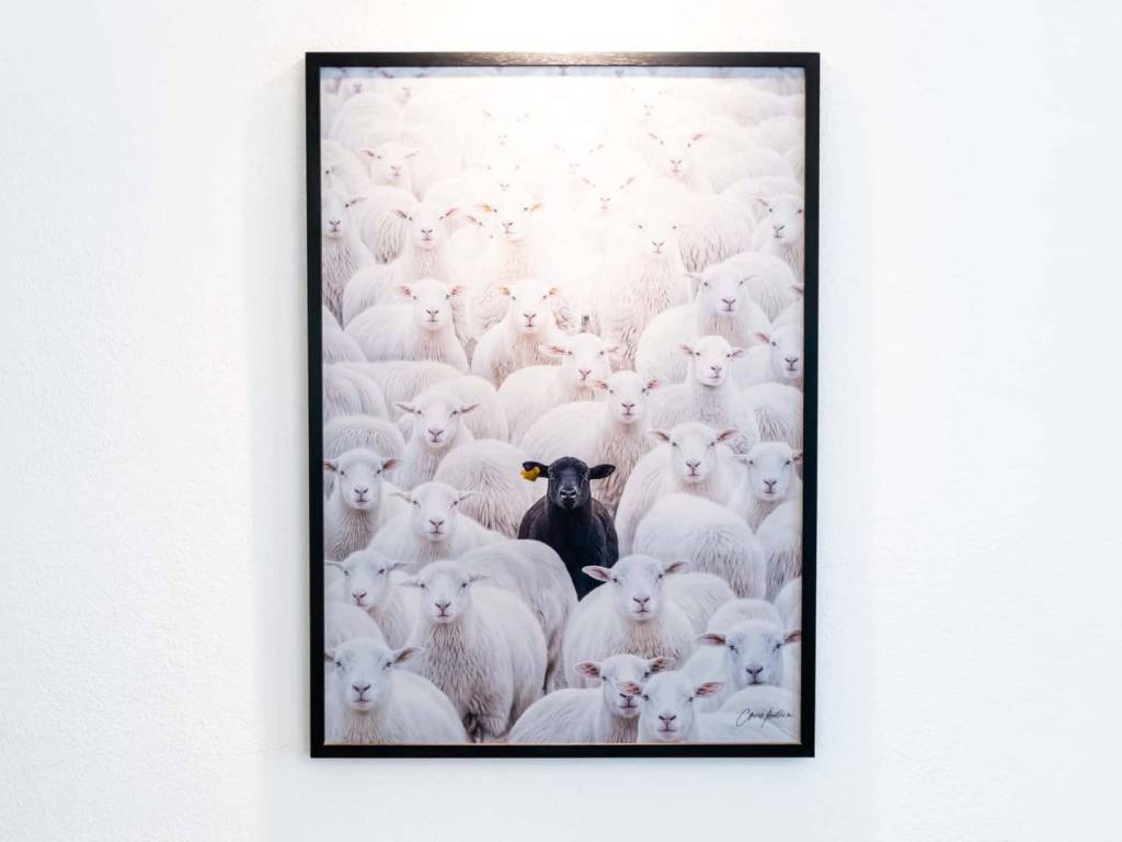 appartamento in affitto a Torino in zona Cit Turin