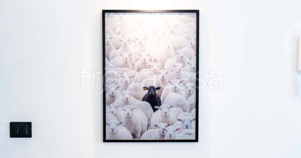 appartamento in affitto a Torino in zona San Donato