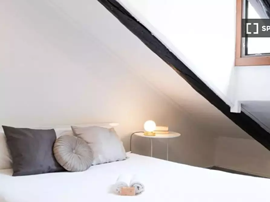 appartamento in affitto a Torino in zona San Salvario