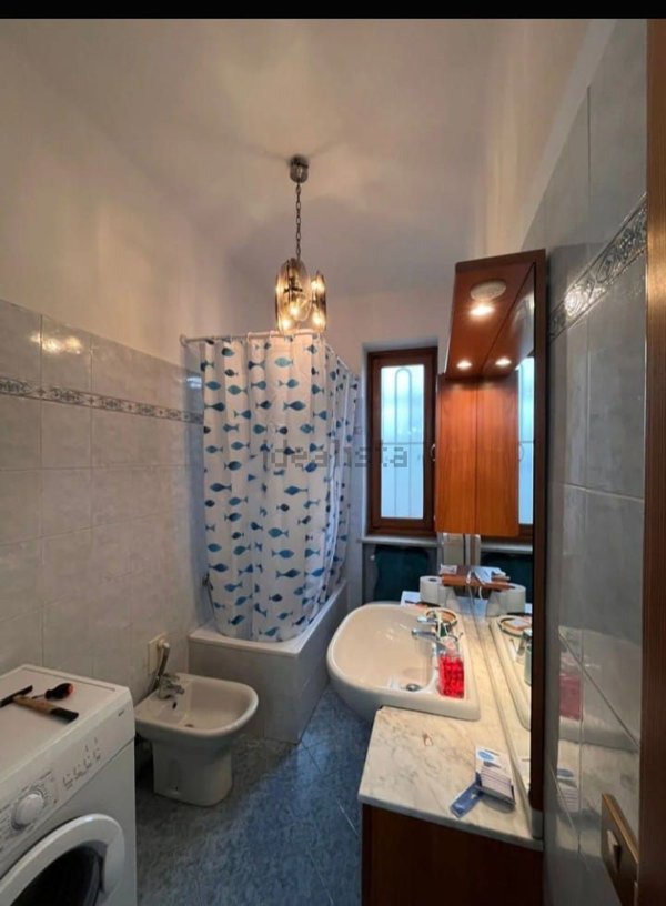 appartamento in affitto a Torino in zona Barriera di Milano