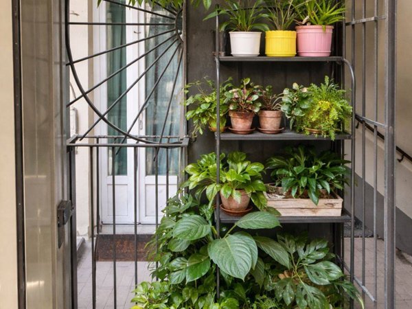 appartamento in affitto a Torino in zona Centro Storico