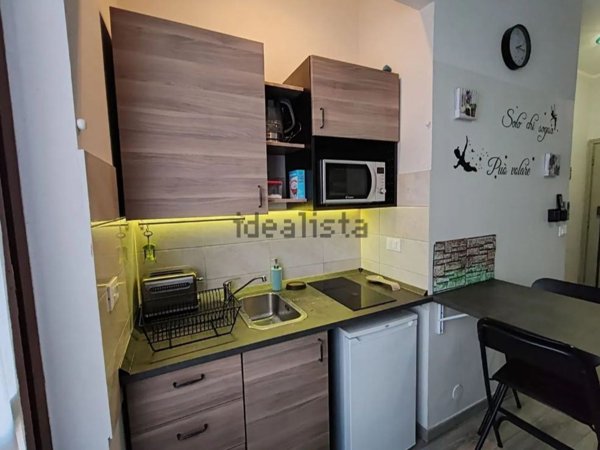 appartamento in affitto a Torino in zona Borgo San Paolo