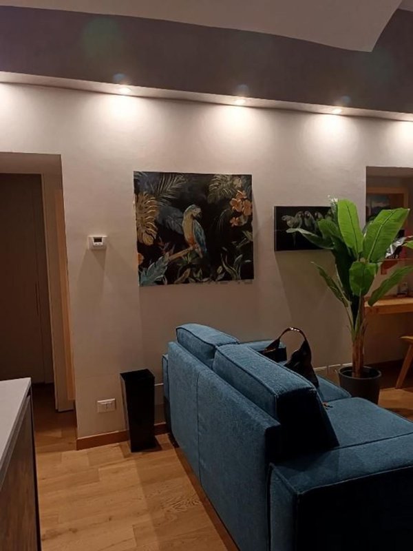 appartamento in affitto a Torino