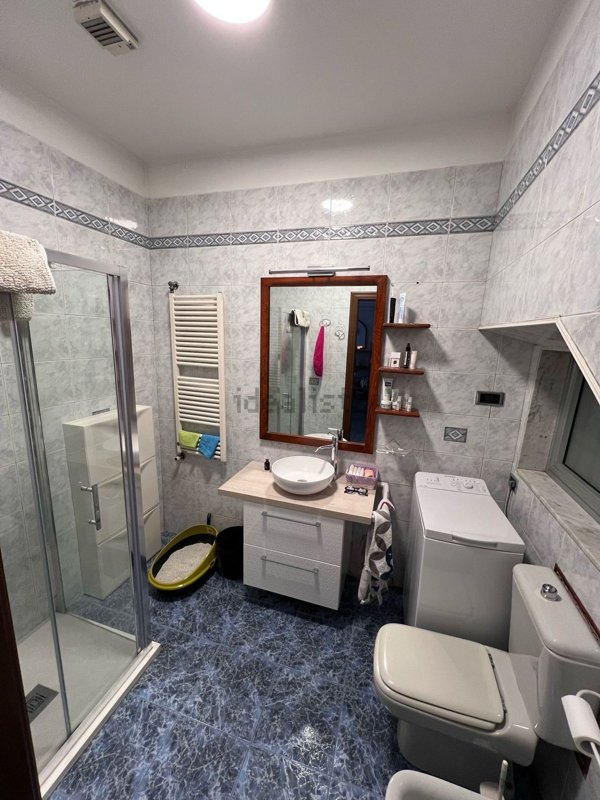 appartamento in affitto a Torino in zona Regio Parco