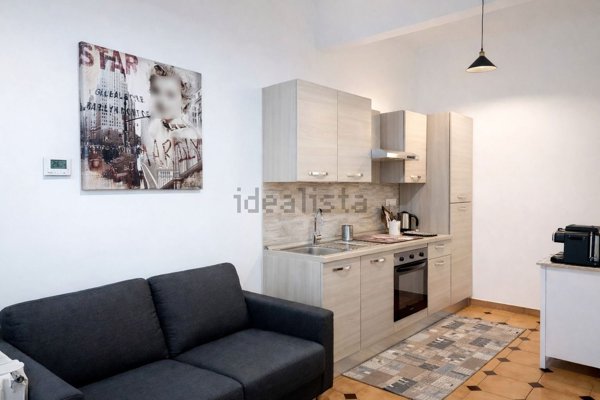 appartamento in affitto a Torino in zona Borgo San Paolo