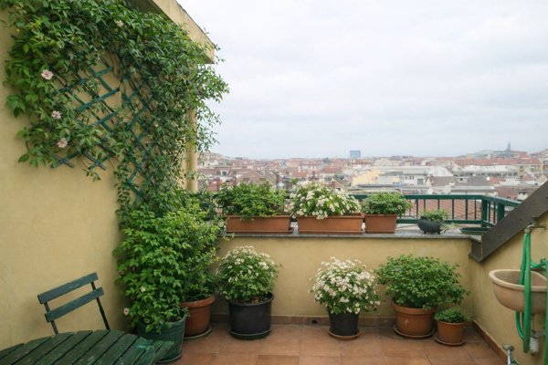 appartamento in affitto a Torino in zona Crocetta