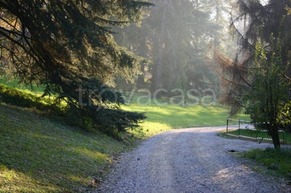 appartamento in affitto a Torino in zona Superga