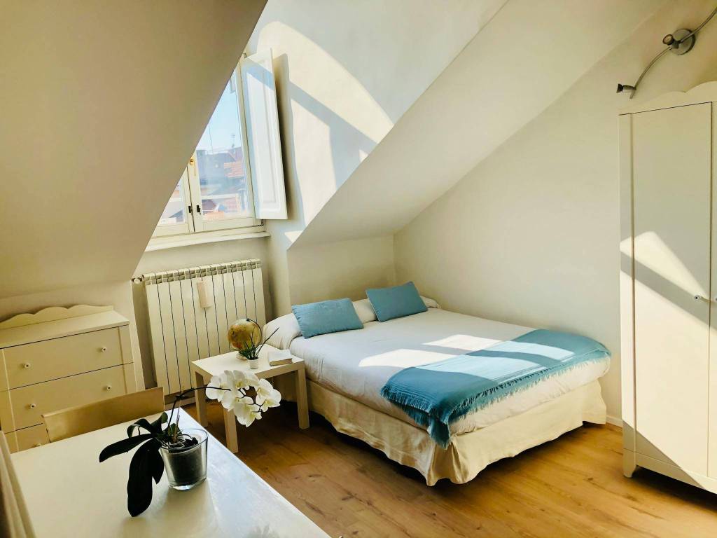 appartamento in affitto a Torino in zona San Salvario