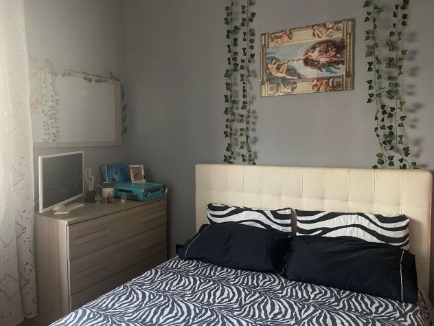 appartamento in affitto a Torino