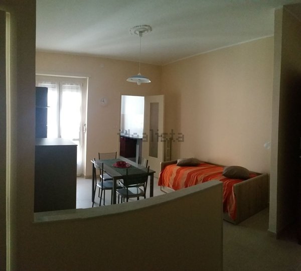 appartamento in affitto a Torino in zona Borgo San Paolo