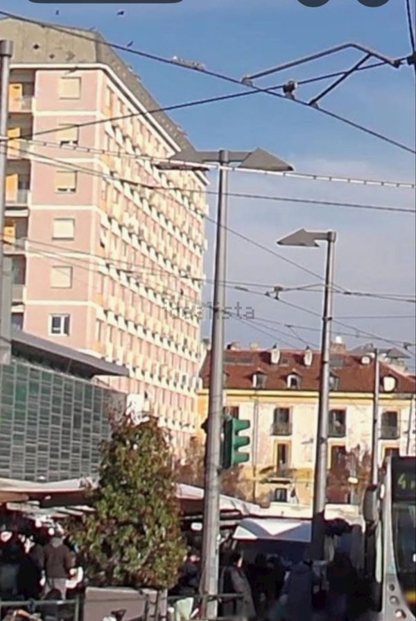appartamento in affitto a Torino