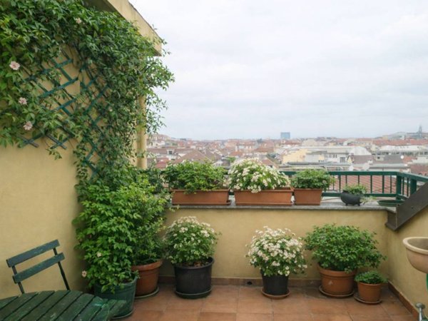 appartamento in affitto a Torino in zona Crocetta