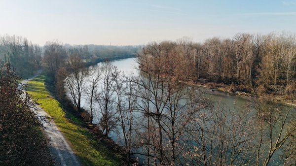 casa indipendente in affitto a Torino in zona Rosa