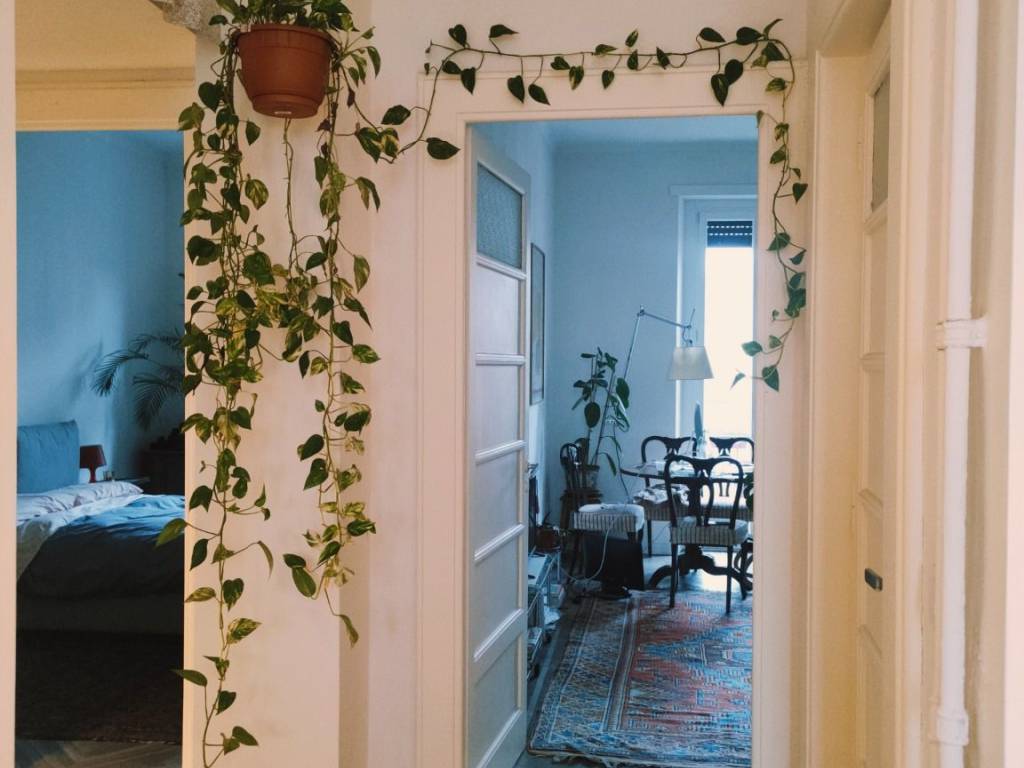 appartamento in affitto a Torino in zona Campidoglio