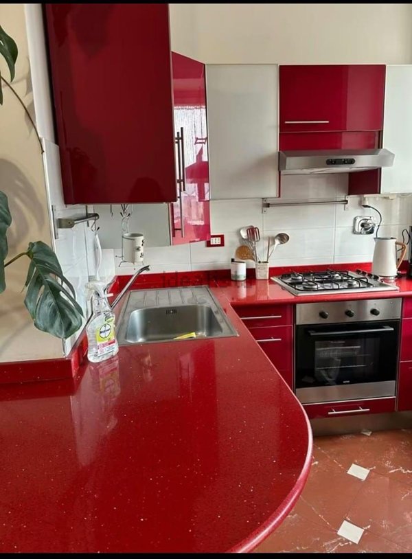 appartamento in affitto a Torino in zona Barriera di Milano