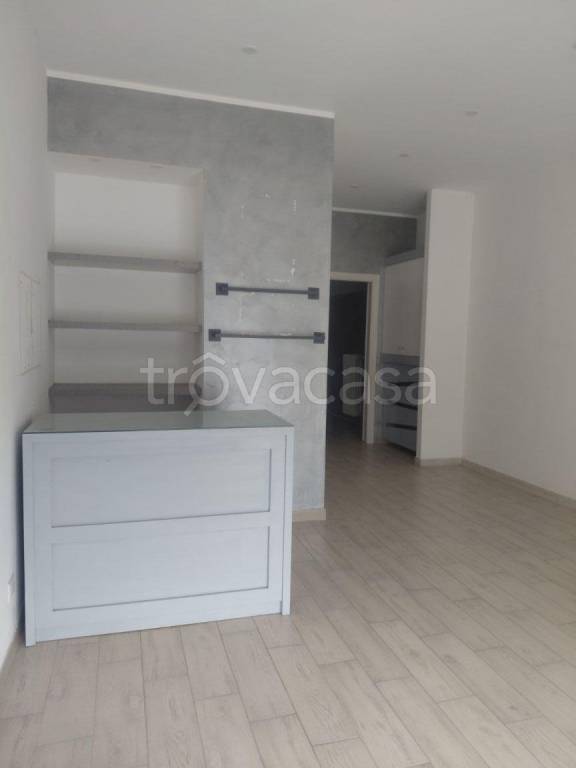 appartamento in affitto a Torino in zona Crocetta