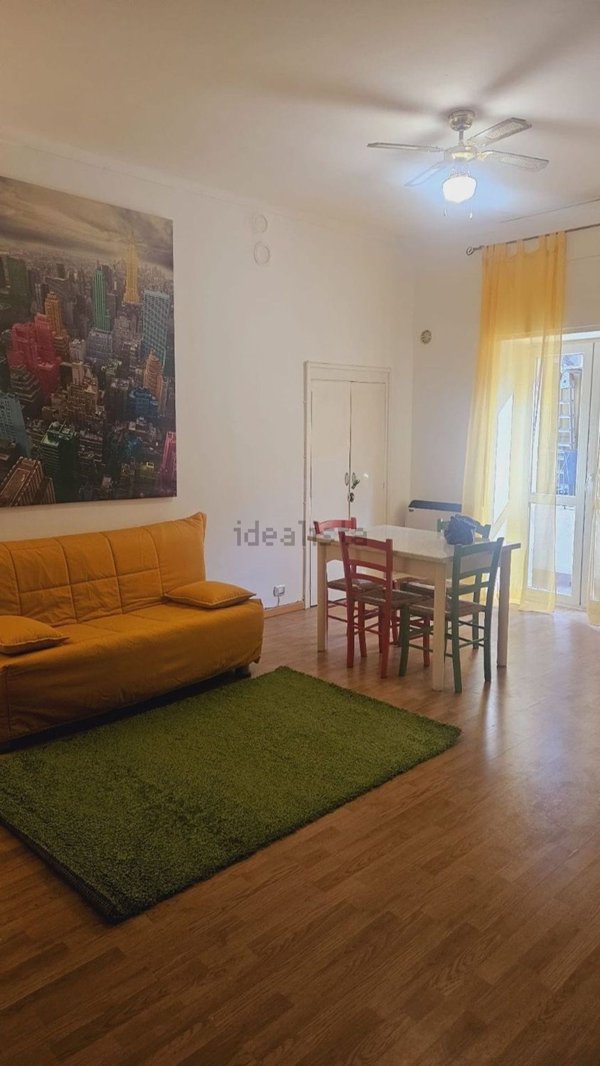 appartamento in affitto a Torino in zona Regio Parco