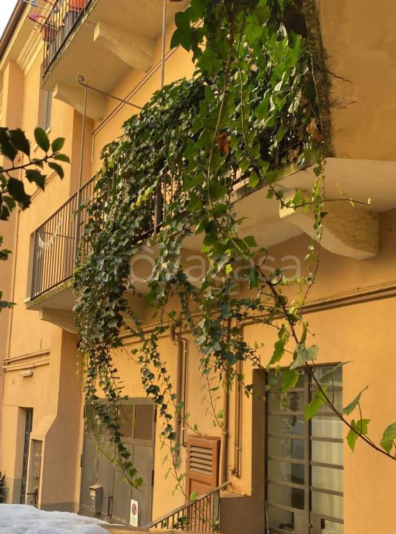 appartamento in affitto a Torino in zona Vanchiglia