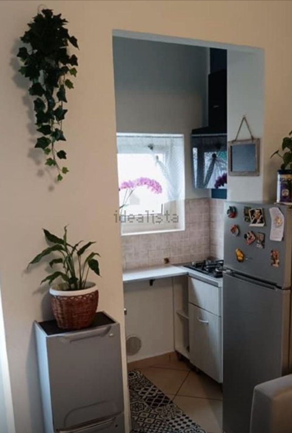 appartamento in affitto a Torino in zona Cit Turin