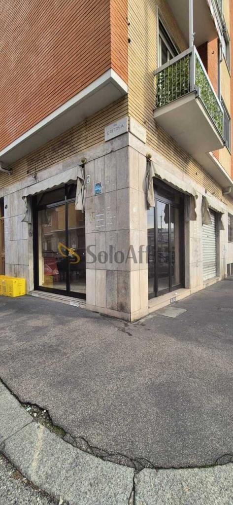 appartamento in affitto a Torino in zona Pozzo Strada