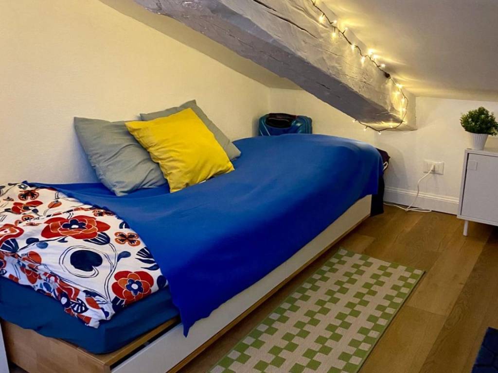 mansarda in affitto a Torino